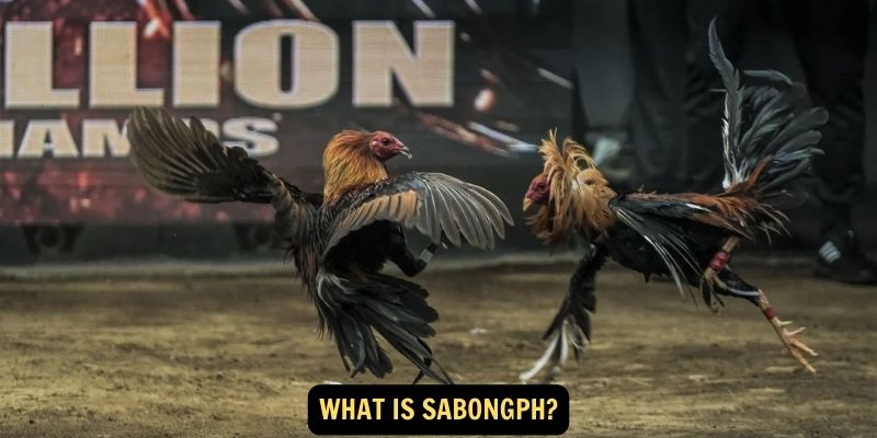 What is SabongPH